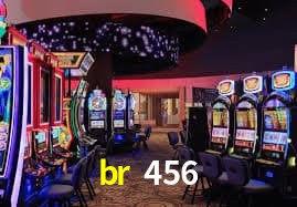 Logo da br 456