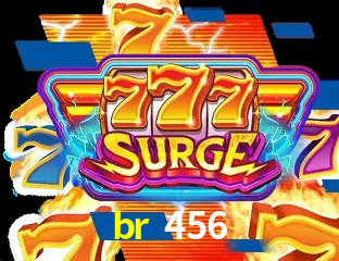 Descubra a Essência do br 456: Nossa História e Compromissos